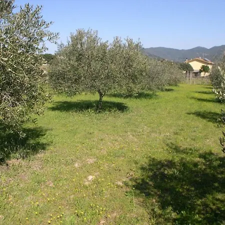 Sugherella Apartamento *